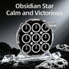 MoYu WeiLong 4x4 Magnetic Clock (Obsidian Black Version)