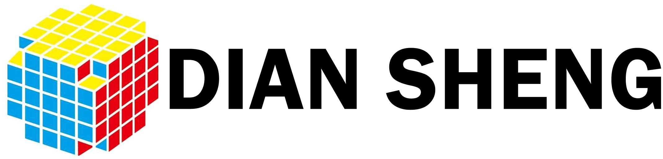 DianSheng logo